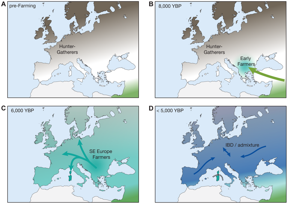 Genetic migrations into Europe over time